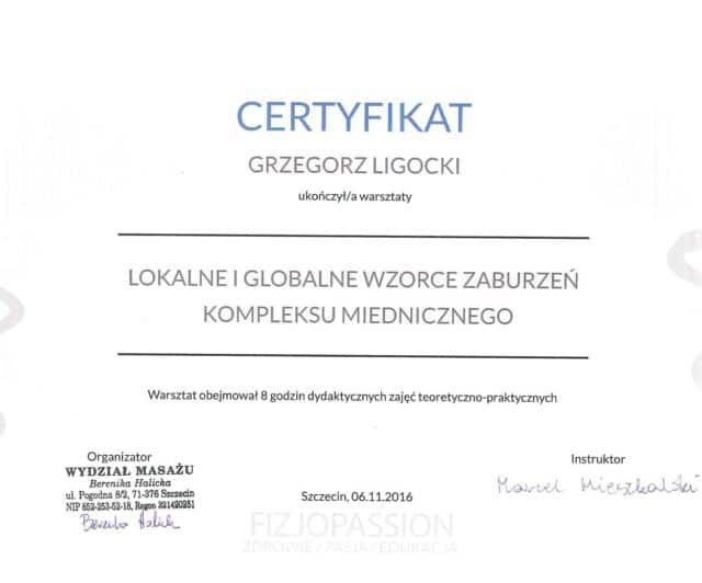 Powiększ obraz: certificate 5