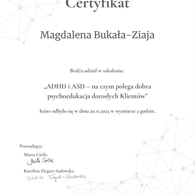 Powiększ obraz: certificate 4