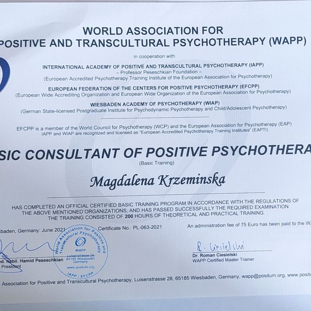 Powiększ obraz: certificate 3