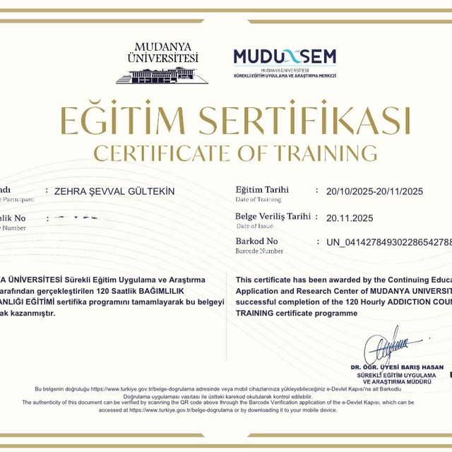 Resmi büyüt: certificate 1