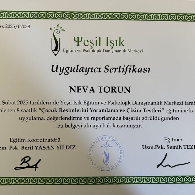Resmi büyüt: certificate 6