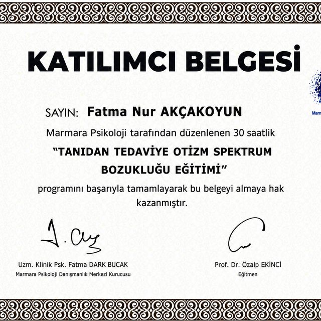 Resmi büyüt: certificate 8