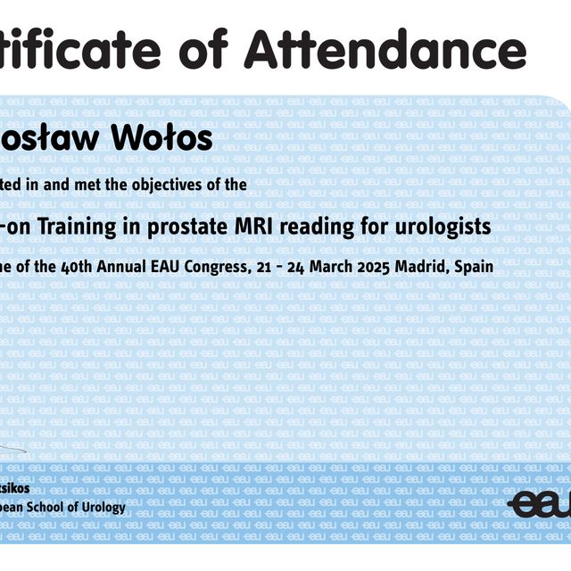 Powiększ obraz: certificate 5