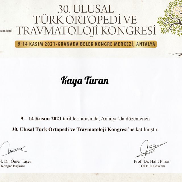 Resmi büyüt: certificate 8