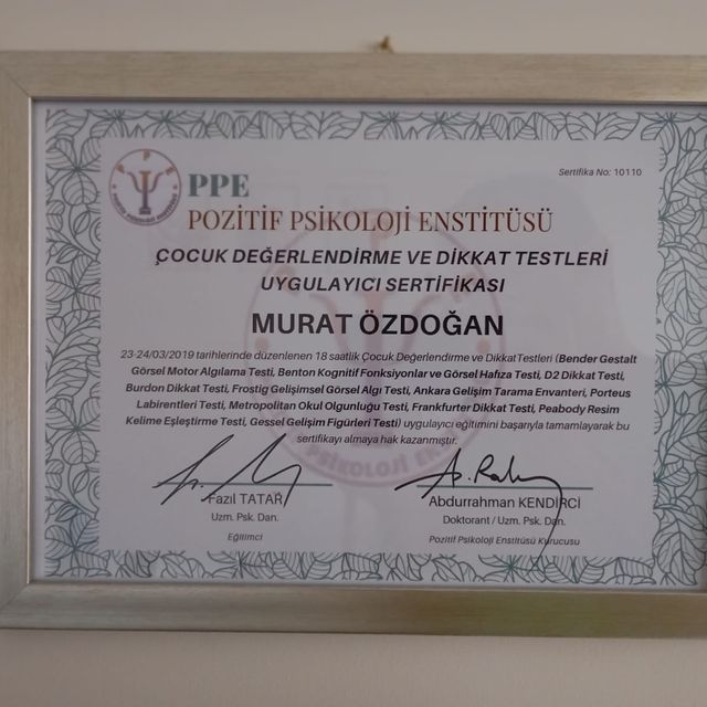 Resmi büyüt: certificate 14