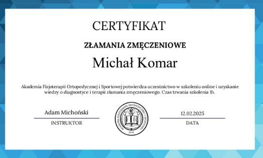 Powiększ obraz: certificate 2