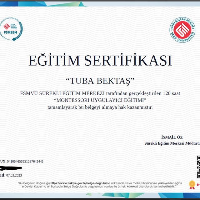 Resmi büyüt: certificate 11