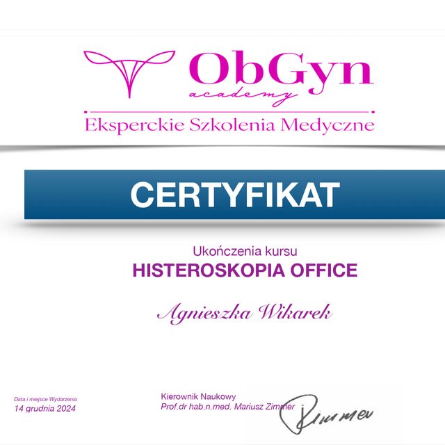 Powiększ obraz: certificate 3