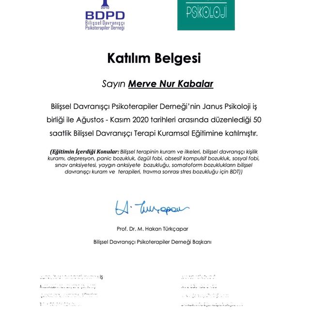 Resmi büyüt: certificate 3