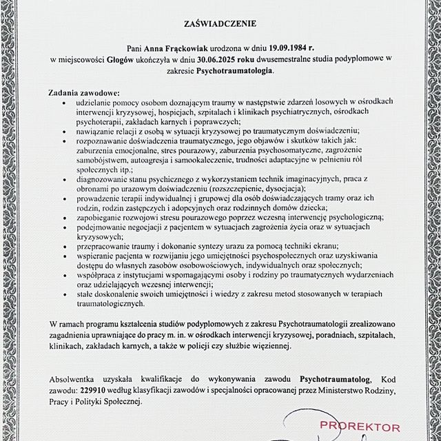 Powiększ obraz: certificate 2