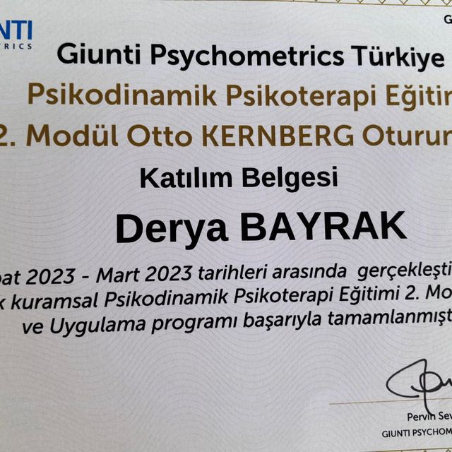Resmi büyüt: certificate 3