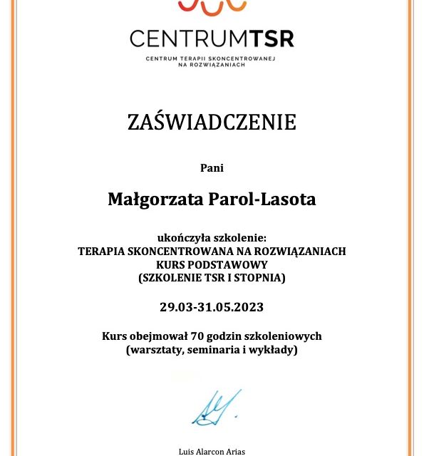 Powiększ obraz: certificate 1