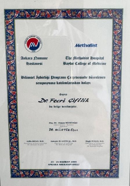 Resmi büyüt: certificate 10