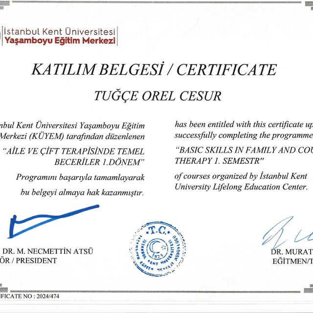Resmi büyüt: certificate 2