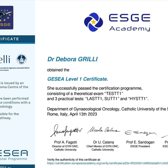 Ingrandire l'immagine: certificate 1