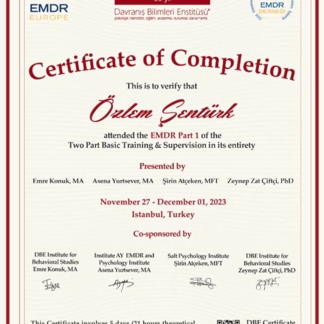 Resmi büyüt: certificate 3