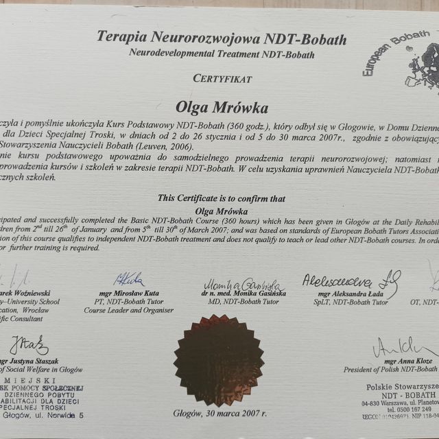 Powiększ obraz: certificate 1