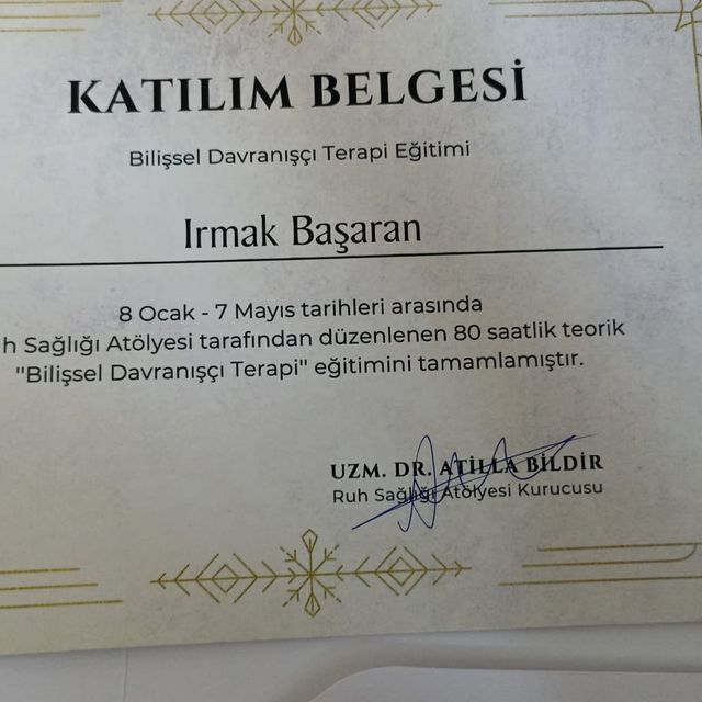 Resmi büyüt: certificate 10