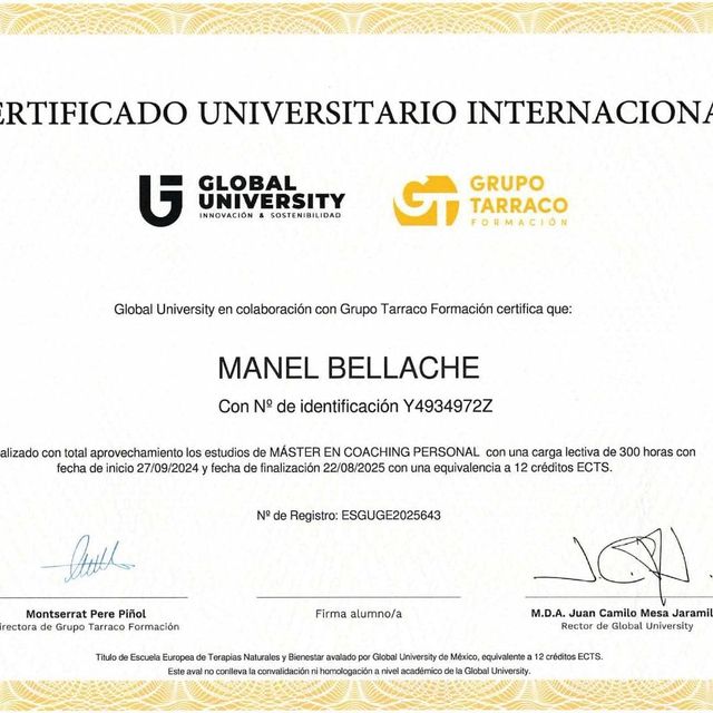 Acercar imagen: certificate 2