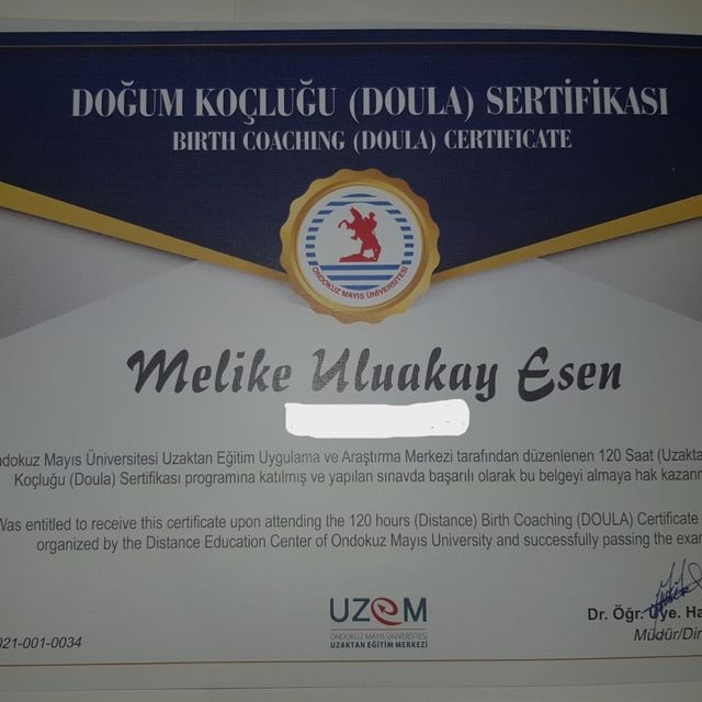 Resmi büyüt: certificate 30