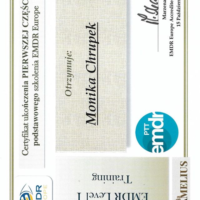 Powiększ obraz: certificate 3