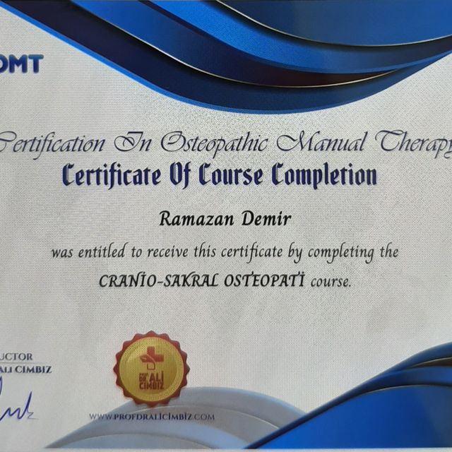 Resmi büyüt: certificate 17