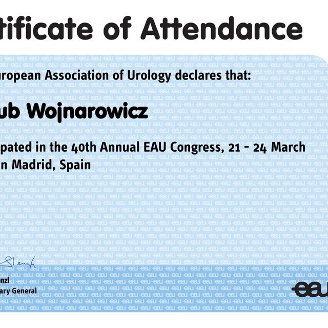 Powiększ obraz: certificate 2