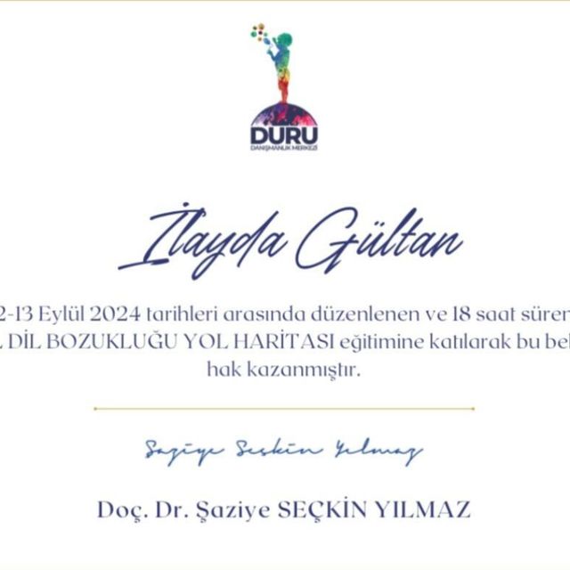 Resmi büyüt: certificate 4