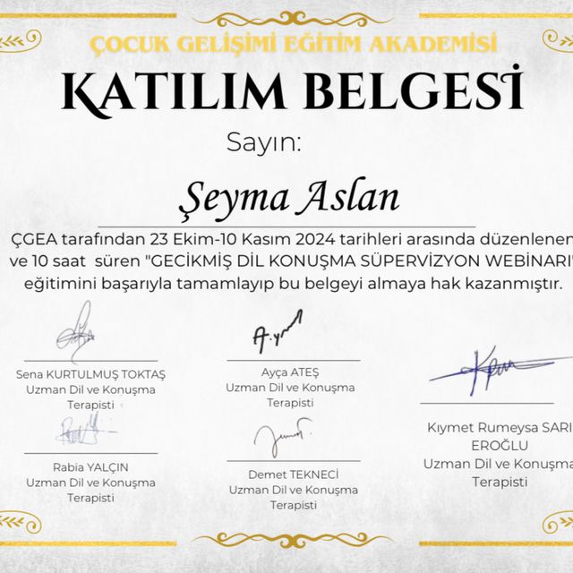 Resmi büyüt: certificate 9