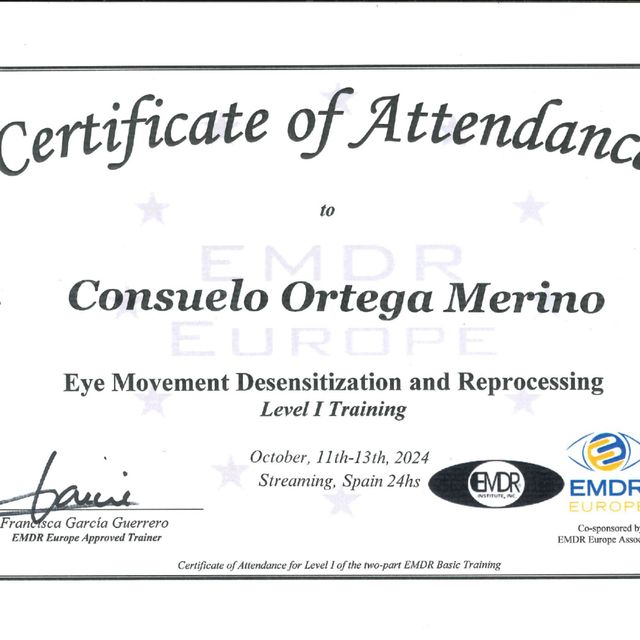 Acercar imagen: certificate 3