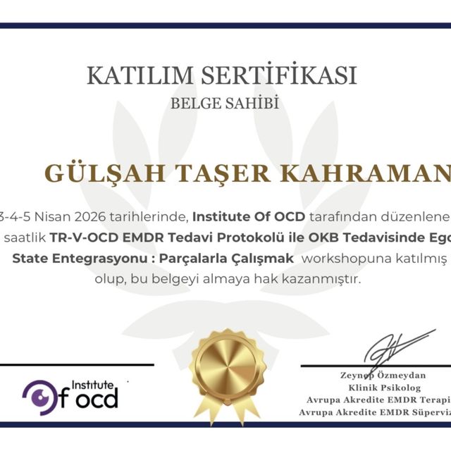 Resmi büyüt: certificate 16