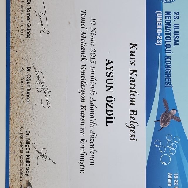 Resmi büyüt: certificate 4