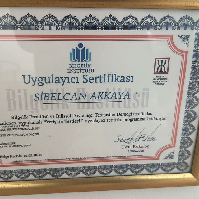 Resmi büyüt: certificate 4