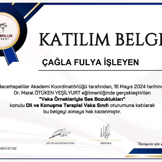 Resmi büyüt: certificate 17