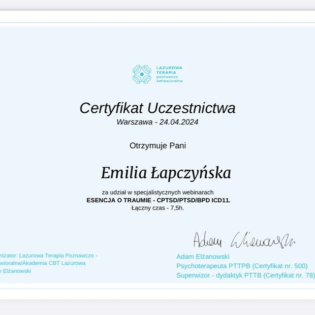 Powiększ obraz: certificate 1