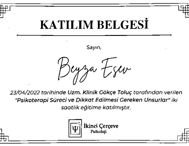 Resmi büyüt: certificate 8