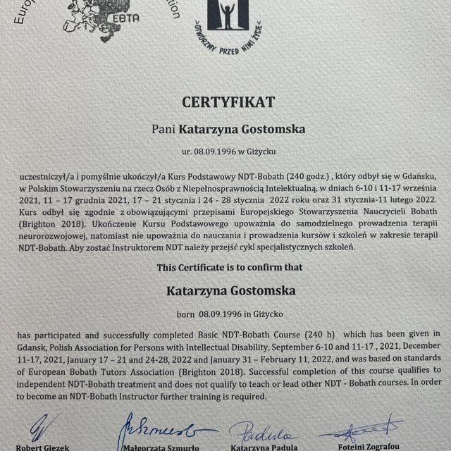 Powiększ obraz: certificate 1
