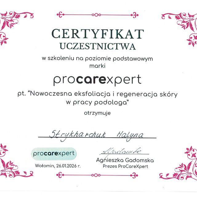 Powiększ obraz: certificate 6