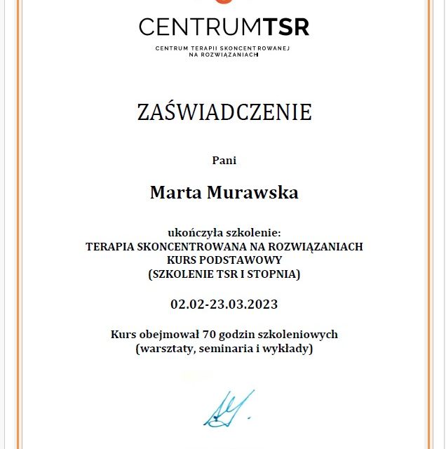 Powiększ obraz: certificate 8