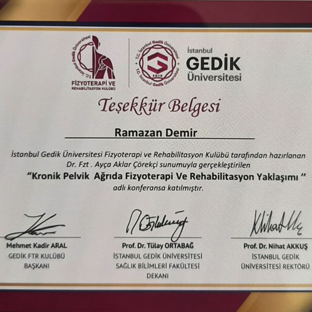 Resmi büyüt: certificate 29