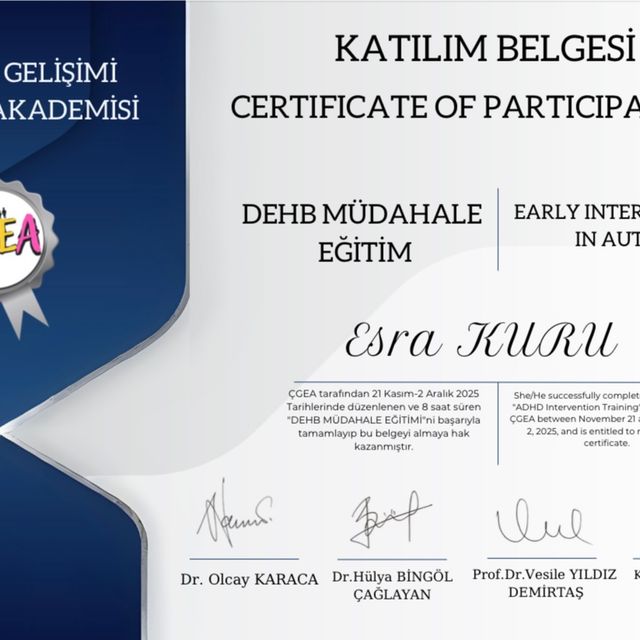 Resmi büyüt: certificate 2