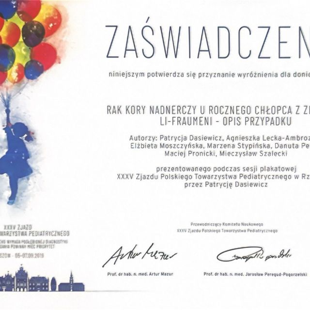 Powiększ obraz: certificate 2