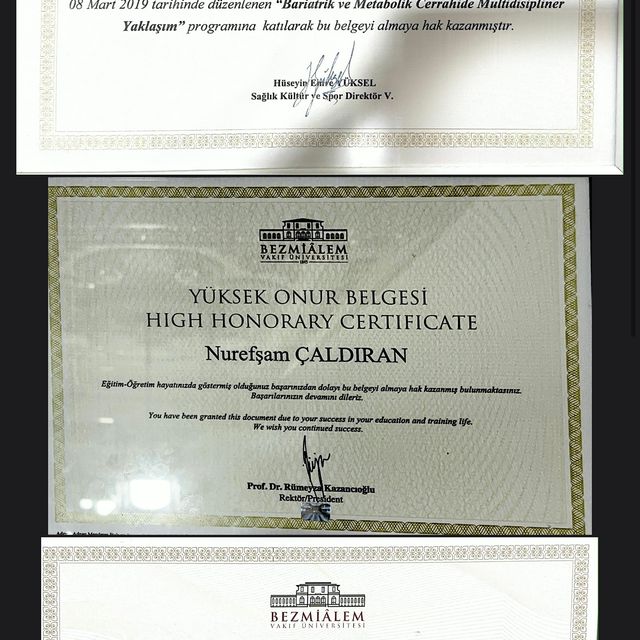 Resmi büyüt: certificate 2