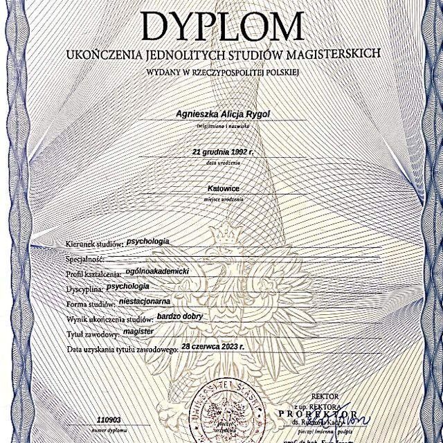 Powiększ obraz: certificate 1