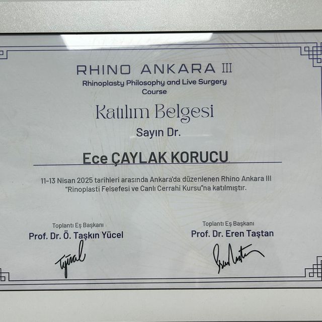 Resmi büyüt: certificate 2