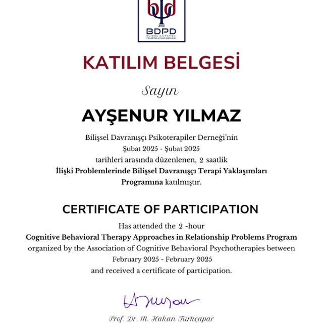Resmi büyüt: certificate 1