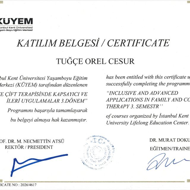 Resmi büyüt: certificate 4