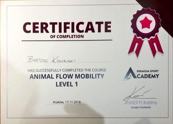 Powiększ obraz: certificate 2