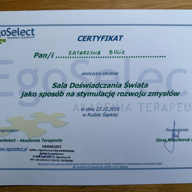 Powiększ obraz: certificate 2
