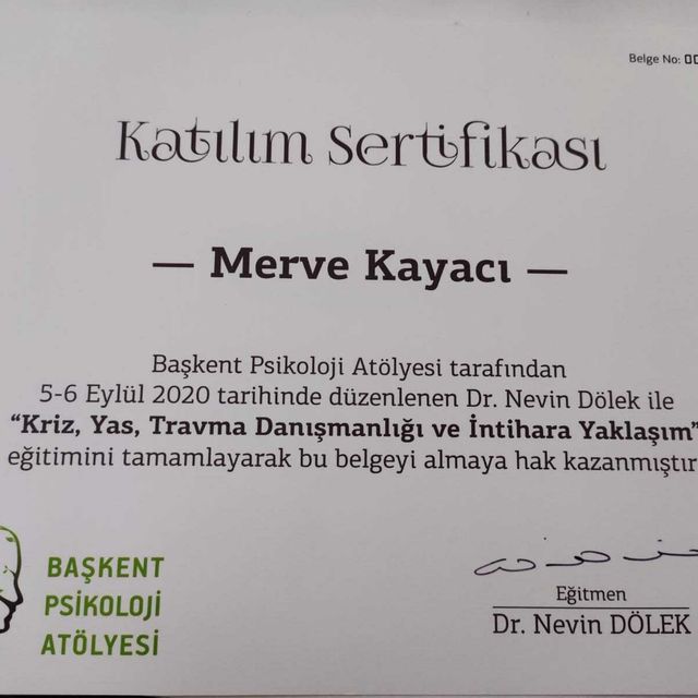 Resmi büyüt: certificate 2